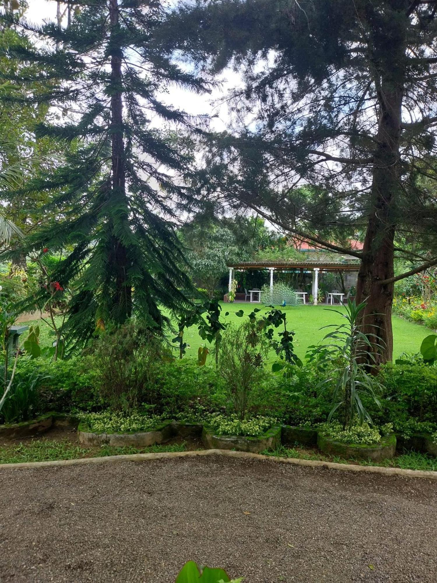 Spring Shannon Heritage Diyatalawa Exterior foto